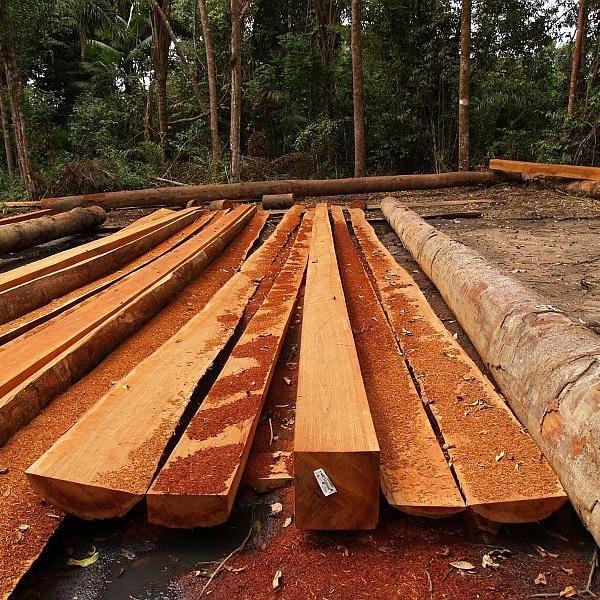 Idioot Gemeenten Vooruitzien Hardhout balken van FSC hout - Van den Berg Hardhout